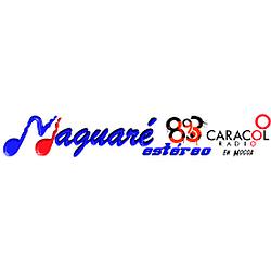 Maguaré Estéreo